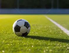 年中国,中学生夏季,运动会代表,皇冠体育app下载,皇冠体育官网,澳门皇冠体育,bet皇冠体育在线