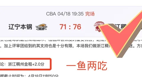 宇说大乐透期号专家推荐：布鲁斯堡VS锡瓦斯体育质合分析